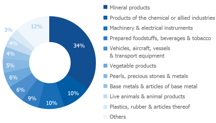 LEBANESE IMPORTS OF GOODS COMPOSITION (% Share | 2019)